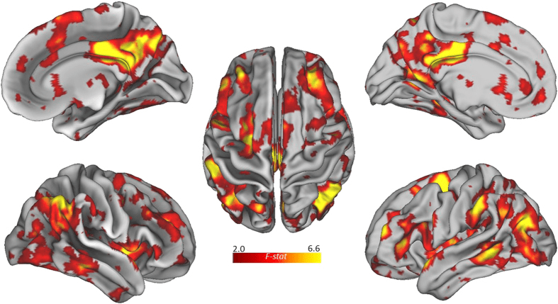 Roger E. Beaty, Mathias Benedek, Scott Barry Kaufman, and Paul J. Silvia - https://www.ncbi.nlm.nih.gov/pmc/articles/PMC4724474/#R26